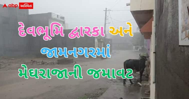 heavy rainfall devbhoomi dwarka jamnagar districts દેવભૂમિ દ્વારકા અને જામનગર મેઘરાજાએ જમાવટ બોલાવી, ગાજવીજ સાથે મૂશળધાર વરસાદ ખાબક્યો