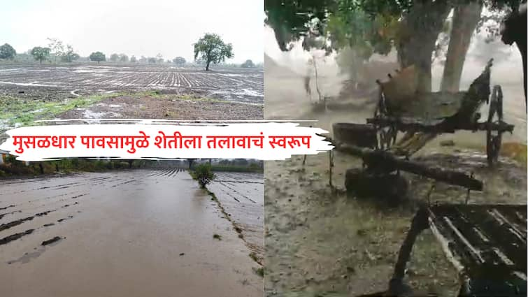 Maharashtra Weather Report Heavy rain lashed Vidarbha along with Marathwada was Water Accumulated in farm Marathi News Maharashtra Weather : मराठवाड्यासह विदर्भाला पावसानं झोडपलं, मुसळधार पावसामुळे शेतीला तलावाचं स्वरूप