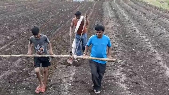 बैल नसल्यामुळे शेतातल्या औताला चक्क आपला भाऊ आणि मुलालाच जुंपल्याचा प्रकार समोर आला आहे.