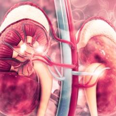 Kidney Problems : ਕੀ ਤੁਸੀਂ ਵੀ ਕਿਡਨੀ ਦੀ ਸਮੱਸਿਆ ਤੋਂ ਪ੍ਰੇਸ਼ਾਨ ਤਾਂ ਅੱਜ ਹੀ ਛੱਡ ਦਿਓ ਆਹ ਆਦਤਾਂ