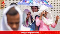 Heat And Death:কেন প্রাণঘাতী হয়ে ওঠে হিটস্ট্রোক? কী ভাবে বাঁচবেন?