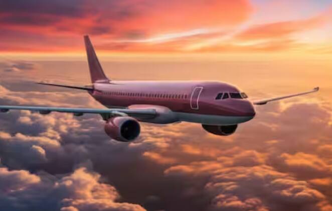 ਭਾਰਤ ਵਿੱਚ ਹਰ ਰੋਜ਼ ਲੱਖਾਂ ਯਾਤਰੀ ਫਲਾਈਟ ਰਾਹੀਂ ਸਫ਼ਰ ਕਰਦੇ ਹਨ। ਅਕਸਰ, ਜੇਕਰ ਲੋਕਾਂ ਨੂੰ ਲੰਬੀ ਦੂਰੀ ਦਾ ਸਫ਼ਰ ਕਰਨਾ ਪੈਂਦਾ ਹੈ, ਤਾਂ ਉਹ ਫਲਾਈਟ ਰਾਹੀਂ ਹੀ ਸਫ਼ਰ ਕਰਦੇ ਹਨ। ਫਲਾਈਟ ਰਾਹੀਂ ਸਫਰ ਕਰਨ ਨਾਲ ਕਾਫੀ ਸਮਾਂ ਬਚਦਾ ਹੈ। ਬਹੁਤ ਸਾਰੀਆਂ ਏਅਰਲਾਈਨ ਕੰਪਨੀਆਂ ਭਾਰਤ ਵਿੱਚ ਉਡਾਣ ਸਹੂਲਤਾਂ ਪ੍ਰਦਾਨ ਕਰਦੀਆਂ ਹਨ।