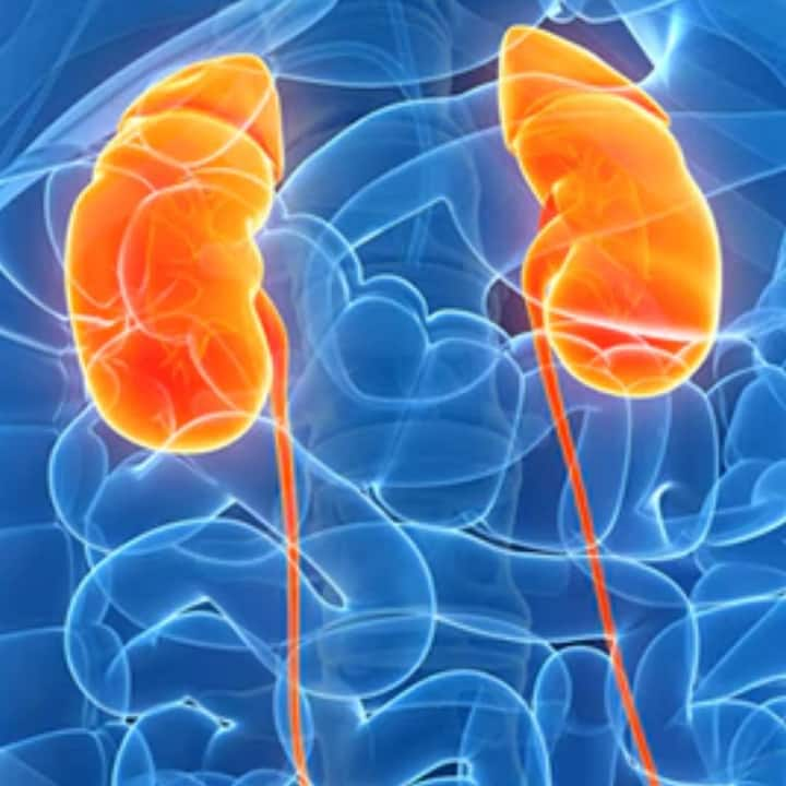 Kidney Problems : ਇੱਕ ਸਿਹਤਮੰਦ ਜੀਵਨ ਜਿਊਣ ਲਈ, ਰੋਜ਼ਾਨਾ ਰੁਟੀਨ ਵਿੱਚ ਸੰਤੁਲਿਤ ਤਰੀਕੇ ਨਾਲ ਭੋਜਨ ਤੋਂ ਲੈ ਕੇ ਸਰੀਰਕ ਗਤੀਵਿਧੀ ਤੱਕ ਹਰ ਚੀਜ਼ ਦਾ ਪਾਲਣ ਕਰਨਾ ਜ਼ਰੂਰੀ ਹੈ।