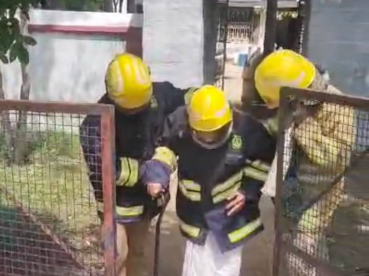 Karur news Perumal temple bees that had built a nest in a tree stung the devotees - TNN யாகம் வளர்த்ததில் வந்த புகை... கூடு கட்டி இருந்த தேனீக்கள் பக்தர்களை கொட்டிய சம்பவத்தால் பரபரப்பு