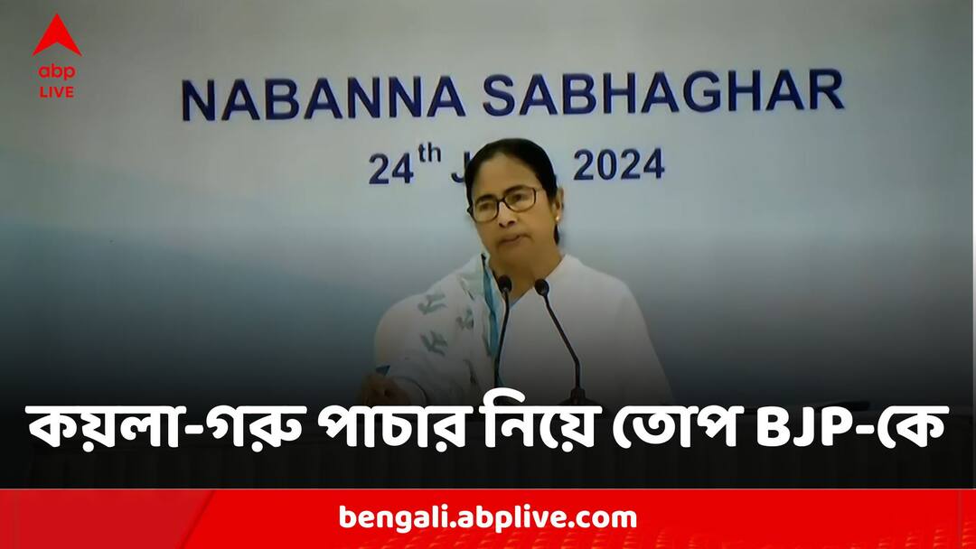 Mamata Banerjee Scathing Attack BJP Being The Biggest Beneficiary Of Coal And Cattle Scam Mamata Banerjee: 'গরু-কয়লার টাকা সবথেকে বেশি খায় বিজেপি', নবান্নের বৈঠকে বিরোধী শিবিরকেও একহাত মমতার