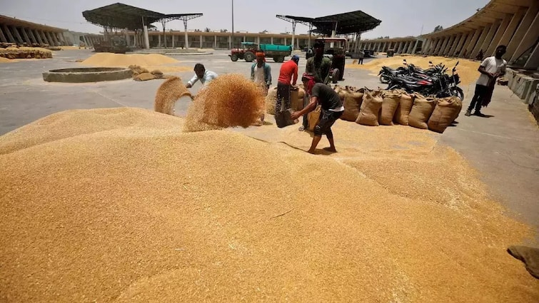 Wheat prices increased the government is going to take a big step a shock to the farmers Wheat Price: ਕਣਕ ਦੀਆਂ ਕੀਮਤਾਂ ਮਾਰਨ ਲੱਗੀਆਂ ਛੜੱਪੇ, ਸਰਕਾਰ ਚੁੱਕਣ ਜਾ ਰਹੀ ਵੱਡਾ ਕਦਮ, ਕਿਸਾਨਾਂ ਨੂੰ ਝਟਕਾ