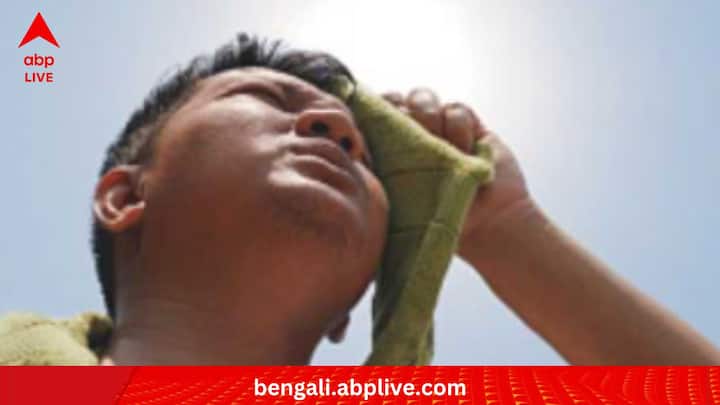 সাধারণ অবস্থায়, মানবদেহের গড় তাপমাত্রা থাকে ৯৮.৬ ডিগ্রি ফারেনহাইট। বিশেষজ্ঞরা সতর্ক করছেন, এর থেকে ৭ ডিগ্রি বাড়লেই হতে পারে হিটস্ট্রোক। কিন্তু কী ভাবে?