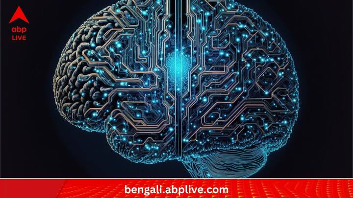 শুধু হৃৎপিণ্ড নয়, তুমুল তাপে গণ্ডগোল হতে পারে মস্তিষ্কেও।  একাধিক ডাক্তার মনে করেন, এর ফলে কোনও কোনও ব্যক্তির স্বচ্ছ চিন্তাভাবনার প্রক্রিয়া ধাক্কা খেয়ে থাকে।  (ছবি:PIXABAY)