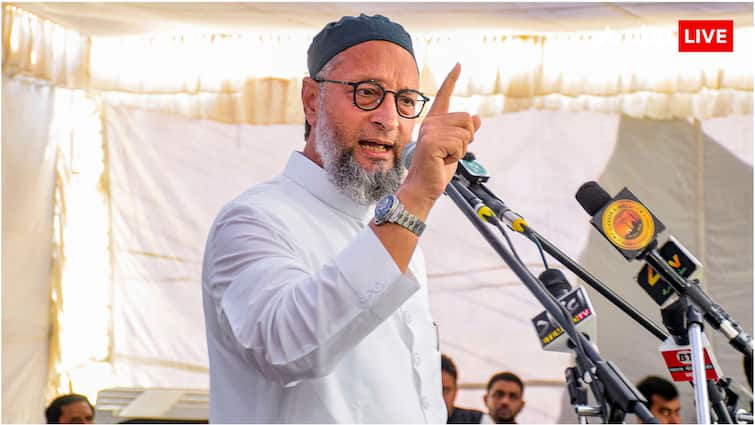 Asaduddin Owaisi Jai Palestine slogan What is the meaning of the slogan Jai Palestine which Owaisi raised while taking oath as MP क्या होता है जय फिलस्तीन के नारे का मतलब, जो ओवैसी ने सांसद की शपथ लेते वक्त लगाया?