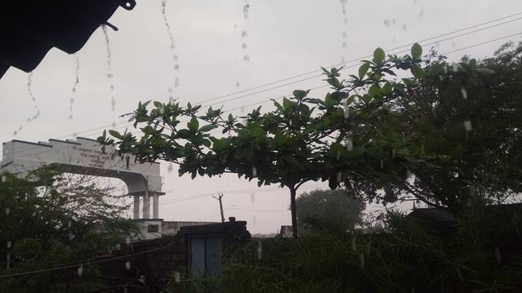 Bhavnagar Rain All over rain in Gariyadhar taluka farmers breathed a sigh of relief Bhavnagar Rain: ગારીયાધાર તાલુકામાં સાર્વત્રિક મેઘ મહેર, ધરતીપુત્રોએ લીધો રાહતનો શ્વાસ