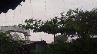 Bhavnagar Rain: ગારીયાધાર તાલુકામાં સાર્વત્રિક મેઘ મહેર, ધરતીપુત્રોએ લીધો રાહતનો શ્વાસ