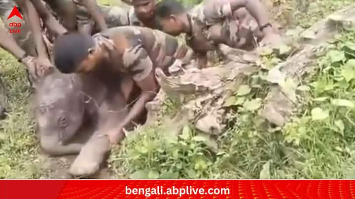 Viral Video: বনের গভীরেই যদি মায়ের কোল থেকে তার শিশু হারিয়ে যায়? এমন অবস্থায় মা ও শিশু ঠিক কী রকম ছটফট করতে থাকে, তা দেখেছিলেন মুড়ুমালাই টাইগার রিজার্ভের বন দফতরের কর্মীরা। তার পর?