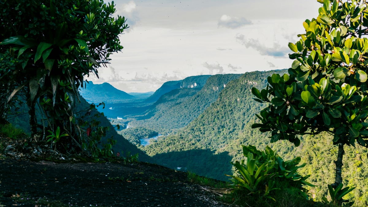 T20 World Cup 2024: Top Places To Visit In Guyana