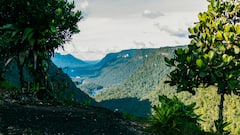 T20 World Cup 2024: Top Places To Visit In Guyana