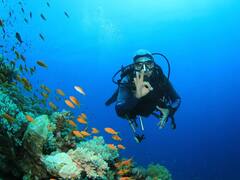 Sea Story: સમુદ્રની નીચે શું છે, જાણો છો તમે ?