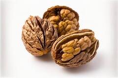 काजू-पिस्ता बादाम की कर देगा छुट्टी, इस ड्राई फ्रूट से ज्यादा फायदेमंद कोई और नहीं!