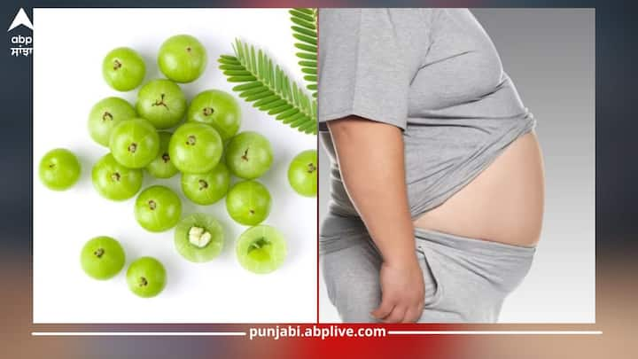 Health News: ਆਂਵਲਾ ਵਿਟਾਮਿਨ ਸੀ ਦਾ ਚੰਗਾ ਸਰੋਤ ਹੈ, ਜਿਸ ਕਰਕੇ ਇਹ ਸਰੀਰ ਦੇ ਲਈ ਸਿਹਤ ਖਜ਼ਾਨਾ ਹੈ। ਇਹ ਇਮਿਊਨਿਟੀ ਵਧਾਉਣ ਅਤੇ ਇਨਫੈਕਸ਼ਨ ਨੂੰ ਰੋਕਣ ਲਈ ਵੀ ਬਹੁਤ ਫਾਇਦੇਮੰਦ ਹੈ। ਆਓ ਜਾਣਦੇ ਹਾਂ ਇਸ ਦੇ ਫਾਇਦੇ...