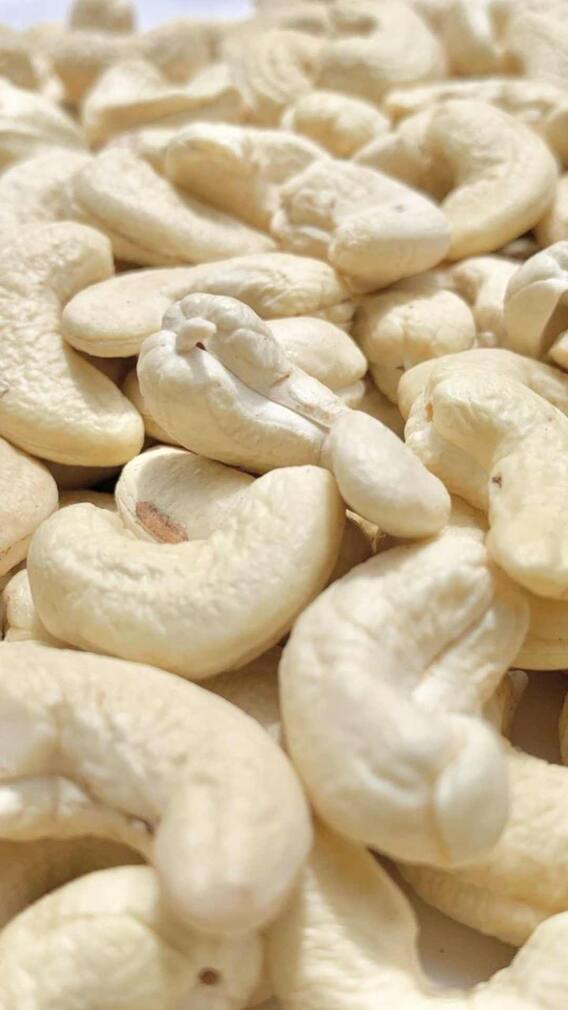 జీడి పప్పులు రోజుకు ఎన్ని తినాలో తెలుసా?