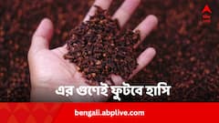 পকেটে কয়েকটি লবঙ্গ নিয়ে বেরোন কাজে, দিনের শেষেও হাসি থাকবে মুখে