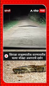 Sangli Snake : शिराळा तालुक्यातील वारणावतीत  भल्या मोठ्या अजगराचे दर्शन