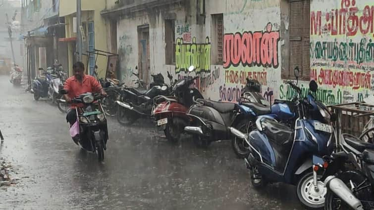 Chennai Rain in places including Thousand Lights, Nungambakkam Chennai Rain: சென்னையில் திடீரென மின்னல்-இடியுடன் கூடிய மழை:ஆயிரம் விளக்கு, நுங்கம்பாக்கத்தில் வெளுக்கும் மழை