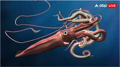 इंसान के बच्चे जितनी बड़ी होती हैं इस जीव की आंखें, दुनिया इसे अंधेरे का राक्षस कहती है