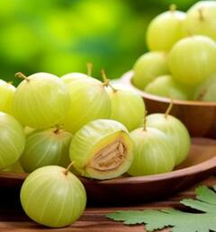 ਵਜ਼ਨ ਘਟਾਉਣ ਤੋਂ ਲੈ ਕੇ ਅੱਖਾਂ ਦੀ ਰੋਸ਼ਨੀ ਦੇ ਲਈ ਫਾਇਦੇਮੰਦ ਇਹ ਛੋਟਾ ਜਿਹਾ ਹਰਾ ਫਲ, ਜਾਣੋ ਇਸ ਦੇ ਕਈ ਹੋਰ ਫਾਇਦੇ