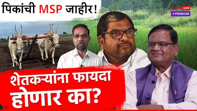 central government announced MSP for 14 Kharif Crops farmers leaders criticized government agriculture news farmers msp news ABPPremium पिकांची MSP जाहीर! शेतकऱ्यांना फायदा होणार का? शेतकरी नेते म्हणतात हा तर मतं मिळवण्याचा कार्यक्रम