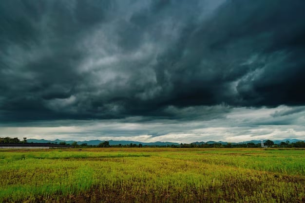 According to the forecast of the Meteorological Department, it will rain in Gujarat for the next 5 days Gujarat Rain Forecast : રાજ્યમાં આગામી પાંચ દિવસ આ આ જિલ્લામાં પડશે ભારે વરસાદ, હવામાન વિભાગની આગાહી