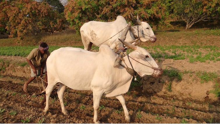 Telangana government collect the opinions of farmers of 110 constituencies on Rythu Bharosa scheme Telangana : రైతు భరోసాపై బిగ్‌ అప్‌డేట్‌- నేడు కీలక సమావేశం -మాట్లాడకుంటే నష్టపోయేదీ మీరే