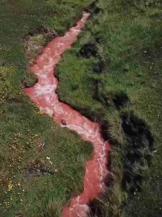 इस नदी का रंग खून की तरह लाल क्यों है