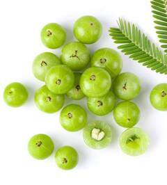 ਵਜ਼ਨ ਘਟਾਉਣ ਤੋਂ ਲੈ ਕੇ ਅੱਖਾਂ ਦੀ ਰੋਸ਼ਨੀ ਦੇ ਲਈ ਫਾਇਦੇਮੰਦ ਇਹ ਛੋਟਾ ਜਿਹਾ ਹਰਾ ਫਲ, ਜਾਣੋ ਇਸ ਦੇ ਕਈ ਹੋਰ ਫਾਇਦੇ