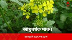 হার্টকে তরুণ রাখে, বাড়ায় দৃষ্টিশক্তি, আয়ুবর্ধক গুণেও ভরপুর এই শাক