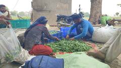 Delhi Vegetables Price: दिल्ली में आसमान छू रहे सब्जियों के दाम, जानें क्यों?