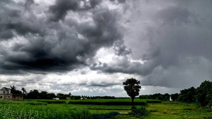 শুক্রবার সকাল পর্যন্ত বজ্রবিদ্যুৎ সহ বৃষ্টির পূর্বাভাস রয়েছে মুর্শিদাবাদ, বীরভূম, পূর্ব ও পশ্চিম বর্ধমান, নদিয়া, হুগলি, পুরুলিয়া, বাঁকুড়া, পূর্ব ও পশ্চিম মেদিনীপুর, উত্তর ও দক্ষিণ ২৪ পরগনা, হাওড়া ও কলকাতায়।(ছবি সৌজন্য-পিটিআই)
