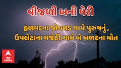 હળવદમાં વીજળી પડતાં શ્રમિકનું મોત, ઉપલેટાના મજેઠી ગામે બે બળદના મોત