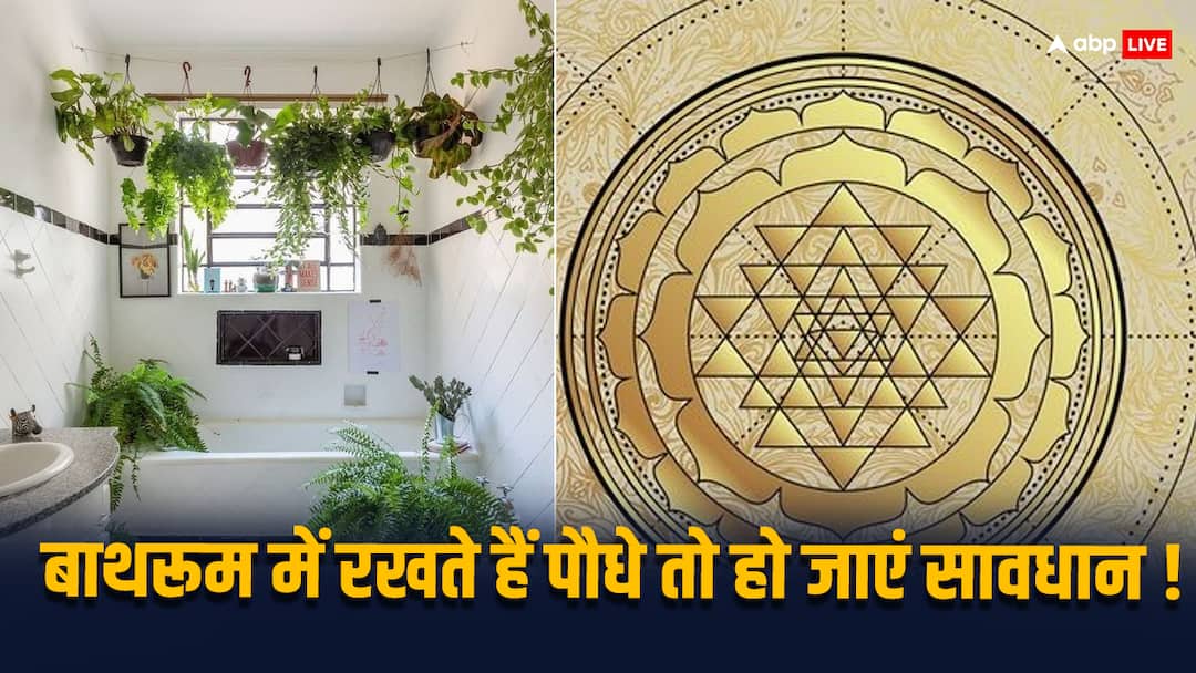 Vastu Tips these plants not should keep at home bathroom according to vastu shastra Vastu Tips: बाथरूम में रखते हैं पौधे तो हो जाएं सावधान, छिन सकती है खुशियां