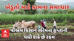 PM Kisan Scheme: પીએમ કિસાન યોજનાના હપ્તાની વધી શકે છે રકમ, જાણો શું છે સરકારનો પ્લાન