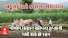 PM Kisan Scheme: પીએમ કિસાન યોજનાના હપ્તાની વધી શકે છે રકમ, જાણો શું છે સરકારનો પ્લાન