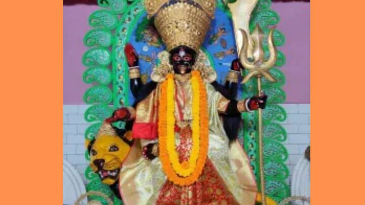 রানি ভয়ে  অস্বীকার করতে থাকেন।  রাজার ভয়ে তখন তিনি গোমাংস তাঁর কাপড়ের নিচে লুকিয়ে রেখে দেবী দুর্গাকে স্মরণ করতে থাকেন। তারপর দেখেন সেই মাংস একটি জবাফুল হয়ে গিয়েছে।