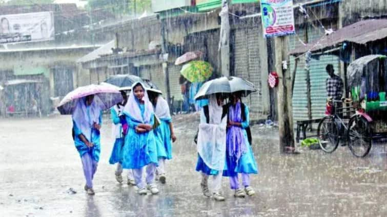 district collectors of coimbatore and nilgiris announced holiday for educational institutions due to rain Rain Alert: கொட்டித்தீர்த்த மழை.. நீலகிரி, கோவையில் 3 தாலுகாக்களில் கல்வி நிலையங்களுக்கு விடுமுறை!