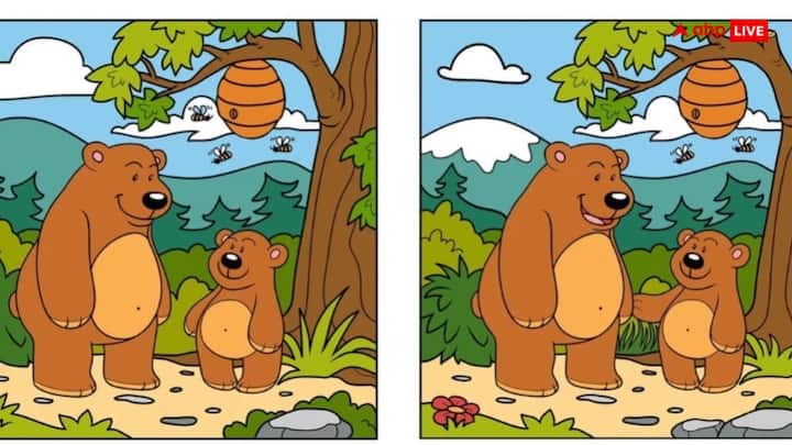 अंतर बताने वाले फोटो आपकी आंख और आपके दिमाग को एकदम रिफ्रेश कर देते हैं और इससे इन दोनों अंगों की कसरत भी हो जाती है. एबीपी आपके लिए रोज ऑप्टिकल इल्यूजन वाली तस्वीर लेकर आता रहता है. आज भी हम आपके लिए ऐसा ही कुछ लेकर आए हैं.