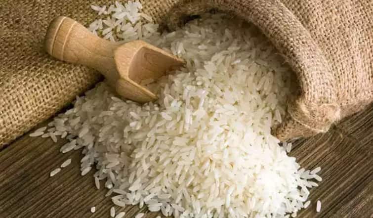 Rice Export Ban News When will the government lift the export ban on rice सरकारचं धोरण बदलणार का? तांदळावरील निर्यातबंदी हटणार का? 