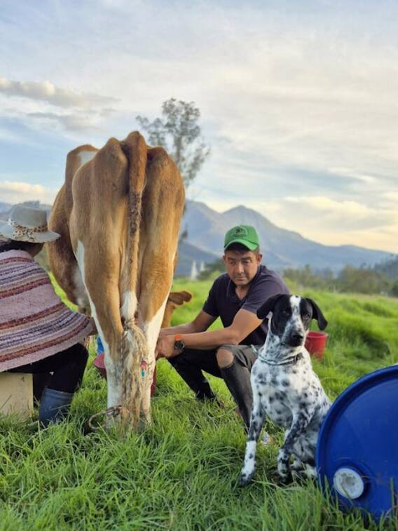 क्या इंसानों की भाषा समझते हैं जानवर?