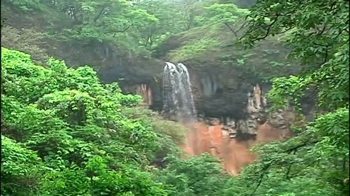 दरम्यान, पाऊसाचा जोर वाढल्यानंतर किंवा धबधब्याचं पाणी वाढल्यानंतर प्रशासना व पोलिसांकडून सुरक्षेचा उपाय म्हणून धबधबा पर्यटकांसाठी बंदही केला जातो.