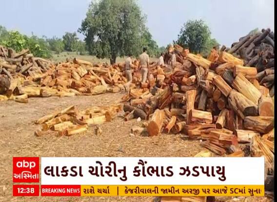 Surat News । સુરત વનવિભાગ દ્વારા ખેરના લાકડા ચોરીનું નેટવર્ક ઝડપી પાડવામાં આવ્યું
