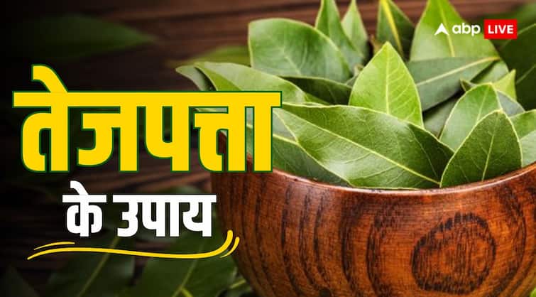 Tej Patta ke Upay get money and prosperity fulfill your all wishes do Bay leaf remedy Tej Patta ke Upay: तेजपत्ता करेगा आपकी हर इच्छा पूरी, बस कर लीजिए ये काम