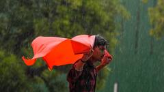 एमपी के 49 जिलों में पहुंचा मानसून, अगले 3 दिनों के लिए भारी बारिश का अलर्ट जारी