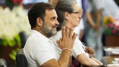 Lok Sabha Speaker: न आडवाणी, न सोनिया गांधी... अब तक बने 12 नेता प्रतिपक्ष में से कितने बन पाए प्रधानमंत्री?