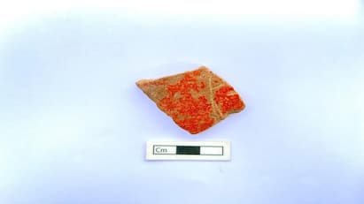 keezhadi Excavation Discovery of pottery with the Tamil character Tha - TNN Keezhadi Excavation:  கீழடியில் தா என்ற தமிழி எழுத்து பொறிப்பு பானை ஓடு கண்டுபிடிப்பு !